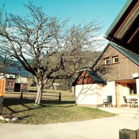 Apartma Hiska Korosec Bohinji-tó Kültér fotó